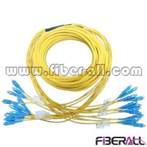 Sc/Upc 12 Fibers Branch Fan-out Fiber Optic Patch Cord Sm