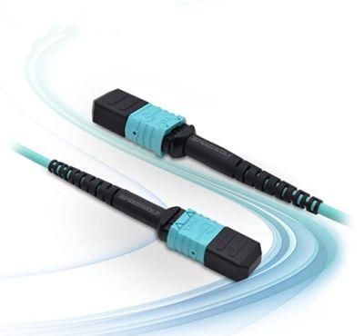 FTTH 1m 10m 20m 100m Multimode Simplex Fiber Optic Cable Trunk