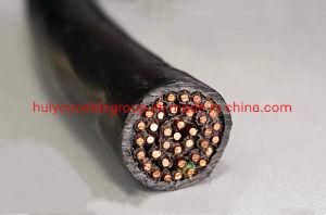 Indoor Control Cable PVC/PVC/Cu Conductor Power Cable