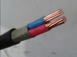 0.6/1kv XLPE Insultaed Copper Conductor Power Cables (YJV 2*50mm2)