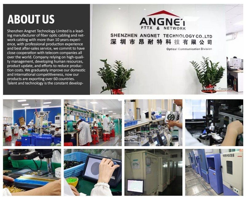 FTTX Optical Fiber Cable Singlemode Fiber Optic Cable 8 FTTH Unit Tube G657D 2 4 6 8 12 24 Core Gyfxtby Optic Fiber Cable