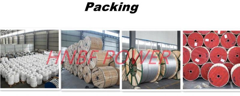Overhead Bare Stranded Aluminum Conductor Steel Reinforced ACSR Conductor Strand Wire Electrical Cable
