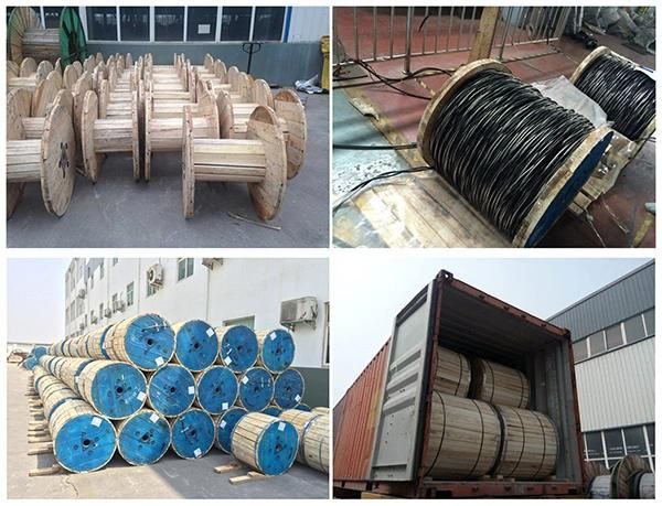 AAC ACSR Phase Conductor AAAC Insulated Neutral Conductor Ariel Bundled Cable Overhead Cable