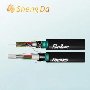 Long Distance and Building Network Communication Fiber Optic Cabling