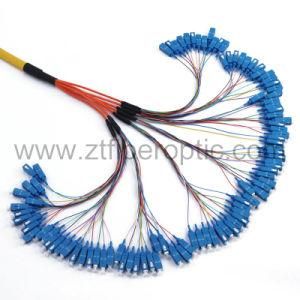 Singlemode 96fiber Sc/Upc Fiber Optic Pigtail