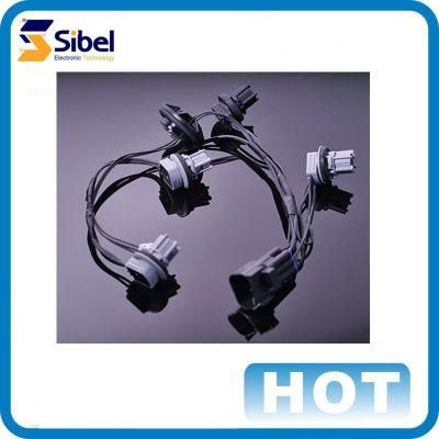 OEM/ODM Manufacturer of Automobile Wire Harness/Electric Vehicle Cable Assembly