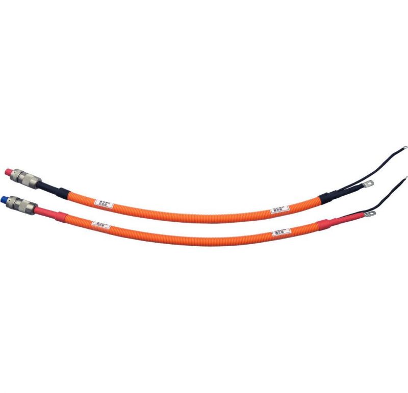High Voltage 35mm2 Electrical Wire Harness Used in Automobile for New Energy Vehicle