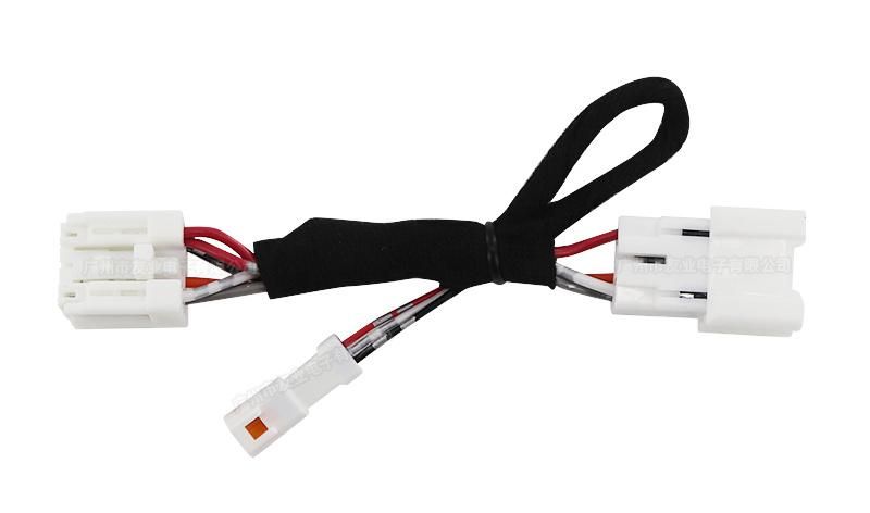 Custom Electric Automobile Wire Harness for Motorcycle