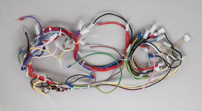Auto Wire Harness for Car