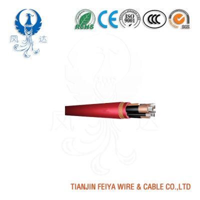 Type 2s 1.1/1.1kv &amp; 3.3/3.3kv Individually Screened Mining Cable for Wiring of Machines or Between Machines and Equipment