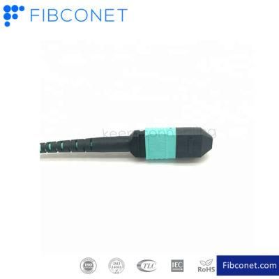 FTTH 12 Cores MPO to LC Jumper Patch Cable Connector Fiber Optic Patch Cord