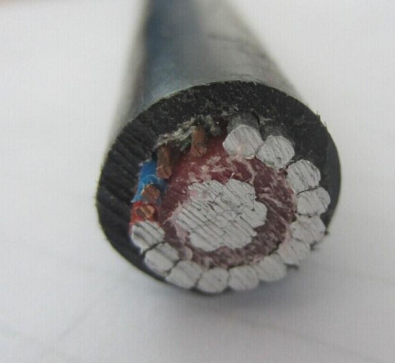 Alloy XLPE Insulation Sheathed Copper 0.6/1kv Aluminum LV Concentric Service Cable with Netural Screen