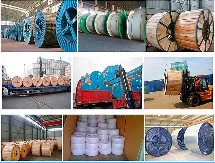 Copper Wire and Steel Wire Armored XLPE Cable