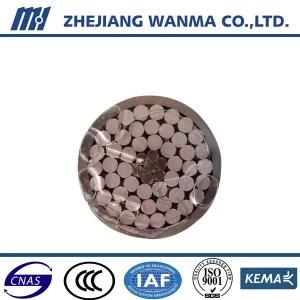 Wanma High Quality ACSR Conductor