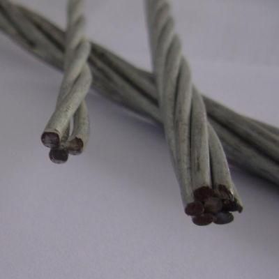 Galvanized Steel Wire /Stay Wire Gsw