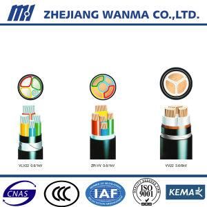 Wanma Power 2 Core Cable Types of Multicore PVC Cable