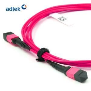 MTP-MTP Female to Female PVC/LSZH Violet Trunk Cable