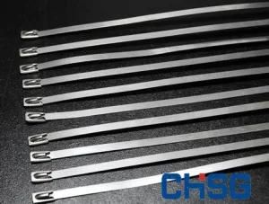 Stainless Steel Cable Tie Tag (SG)