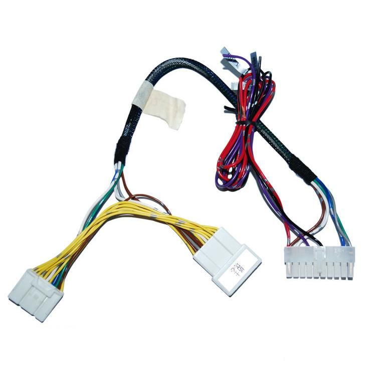 Factory Custom Automotive Wire Harness for Reiz