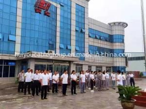Copper Conductor Steel Wire Armored Cable (yjv32) Power Cable