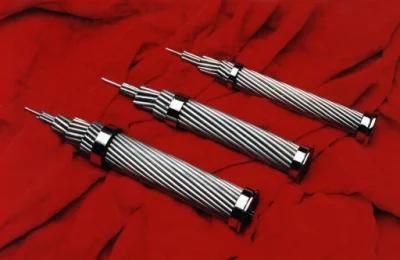 Bare Aluminum Electrical Conductors (AAC 16-1000MM2)