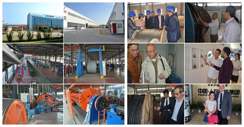 Competitive Price of Aluminium Conductor Aluminium Clad Steel Reinforced ACSR/Aw