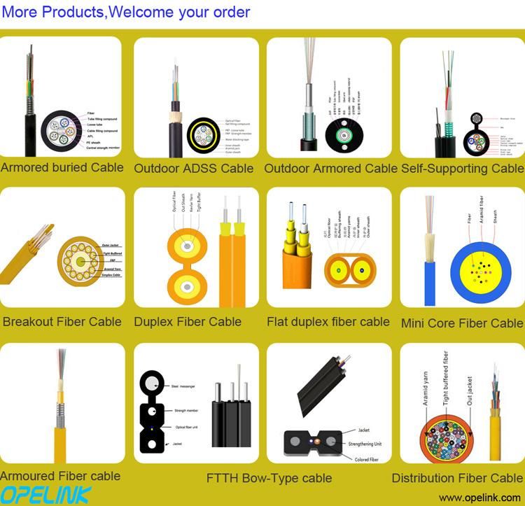 China Customized GJYXFCH Metal Strength Member Self-Supporting FTTH Drop Cable with Factory Price