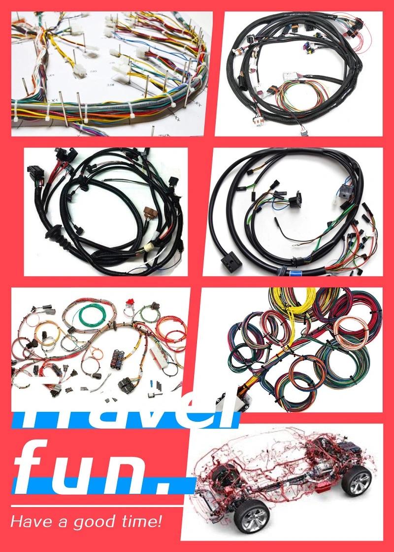 Custom Printed Circuit Board Assembly (PCBA) and Wire Harness for Industrial Control Application