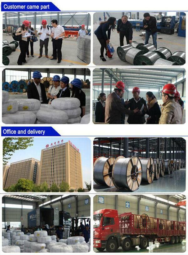 ASTM Standard AAC All Aluminum Conductor of Electric Conductors