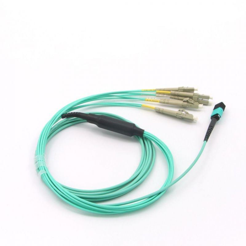 Fiber Optical Patch Leads with Different MPO and Fiber.
