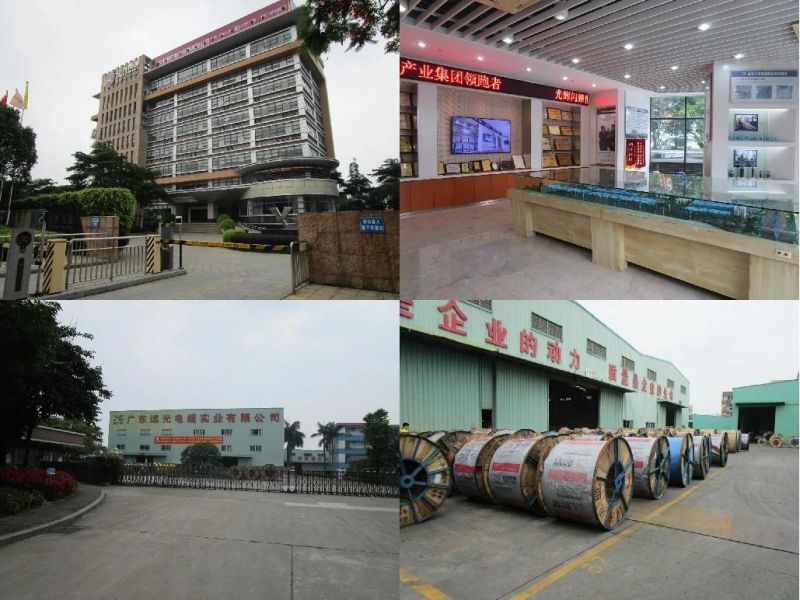 BS Standard 25/4 (Gopher) ~400/56mm2 (Zebra) ACSR Conductor All Aluminum Wire Compacted Conductor Galvanized Steel Wire Reinforcement