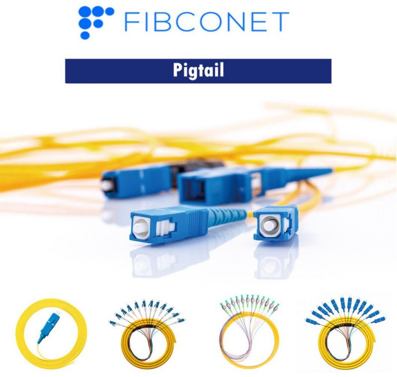 FTTH Single Mode 12 Core Distribution Sc/Upc Fan-out Bundle Fiber Optic Pigtail