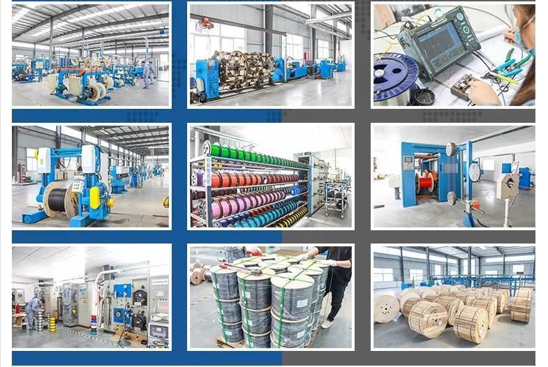 Professional Factory All Dielectric Self-Supporting G652D ADSS 4 Core Cable ADSS Optic Fiber