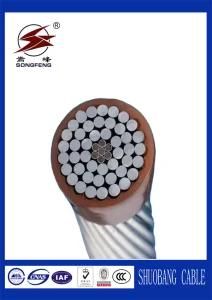 Power Transmission Lines AAC/AAAC/ACSR/Aacsr/ Bare Conductor