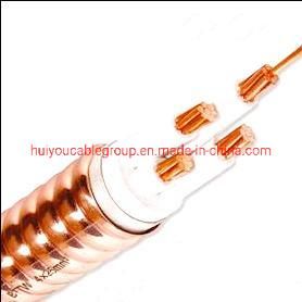 Bttw /Yttw, Fire Resistant Cable 0.6/1kv 1/C Inorganic Mineral Insulated Copper Sheath Power Cable