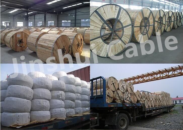 All Aluminum Conductor (AAC) & Aluminum Conductor Steel Reinforced (ACSR) Power Cable