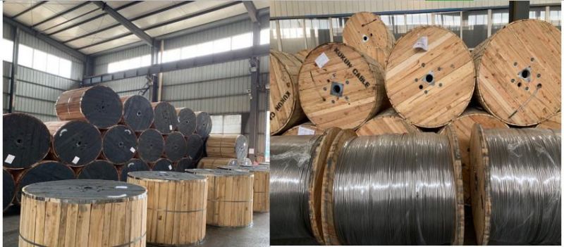 CCS Bare Conductor Copper Clad Steel Cable Conductor Price