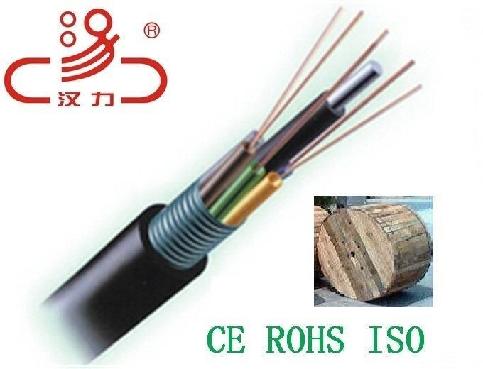 GYTA/GYFTY, GYTS, 2- 48 Core Optical Fiber Cable