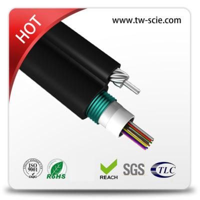 Steel Armored Outdoor Fiber Optic Cable Figure8 (GYTC8S) -G