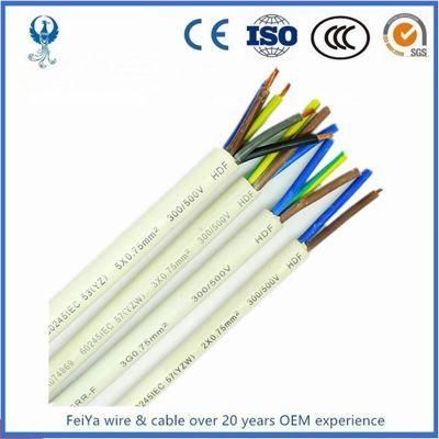 300/500V 90 Temperature Epr Insulation and Polyurethane Sheathed Flexible Cable H05bq-F 2 Core 3core 4core 0.75mm2