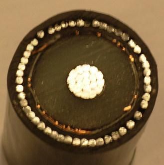 Ht 11kv 500mcm A/A Aluminium Armoured S/C Power Cable