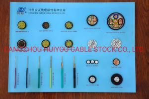 Nhkvv CE Approved /CE/ISO/CCC Certificated Multi Core LV Control Cable