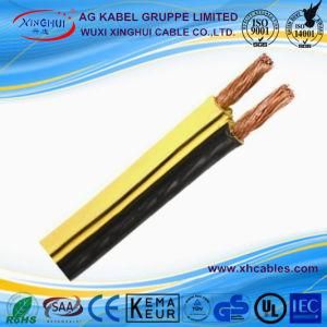 UL2556 Special Flat Electric Wire