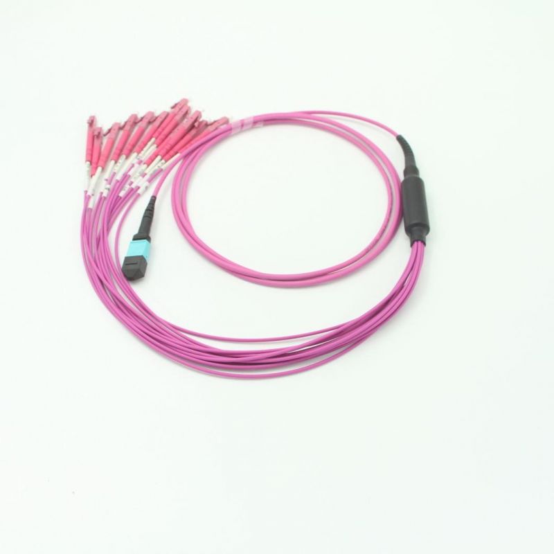 LC-MPO (Female) Om4 Fiber Optic Multimode Multicores 12 Cores 2.0mm Fanout Patch Leads with 5 Meters
