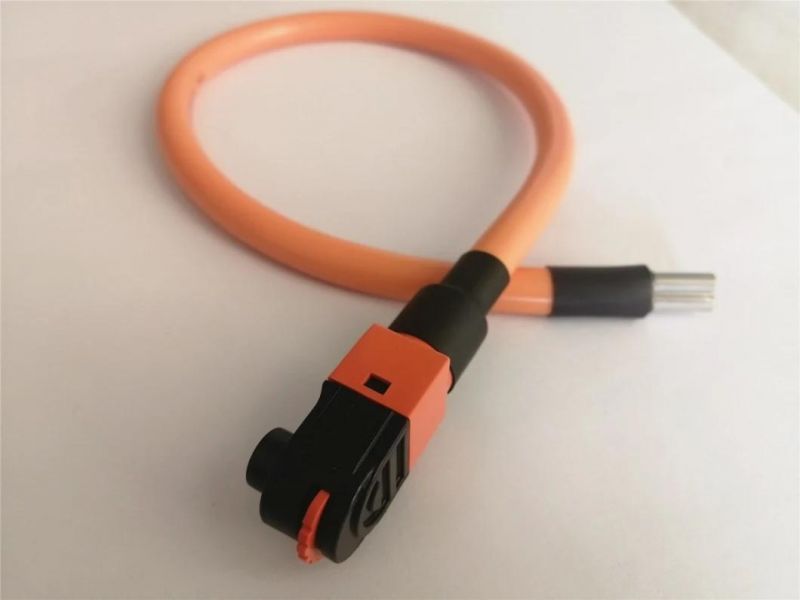 25mm2 100A Waterproof IP67 Energy Storage/Power Cable, EV Cable Black/Negative Cable Hv Connector Energy Storage Plug Connector with Cable