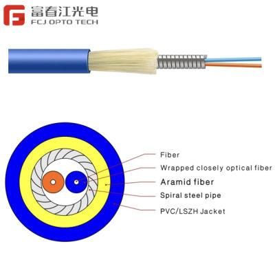 Fcj Opto Tech Indoor Sc/LC/FC/St/ Optic Armored Fiber Optic Patch Cord Gjsfjv