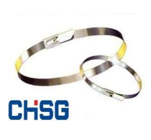 Stainless Steel Cable Tie With PVC Coated (SG)