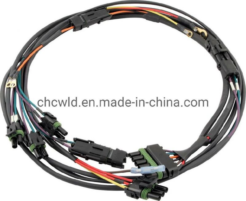 Manufacturer of Custom Ignition Wiring Harness