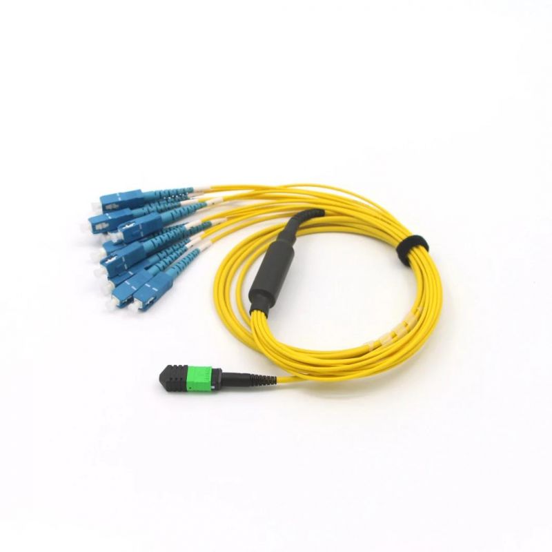 MPO (F) - Sc OS2 12 Core Fibre Optic Fanouts Assemblies with 5m