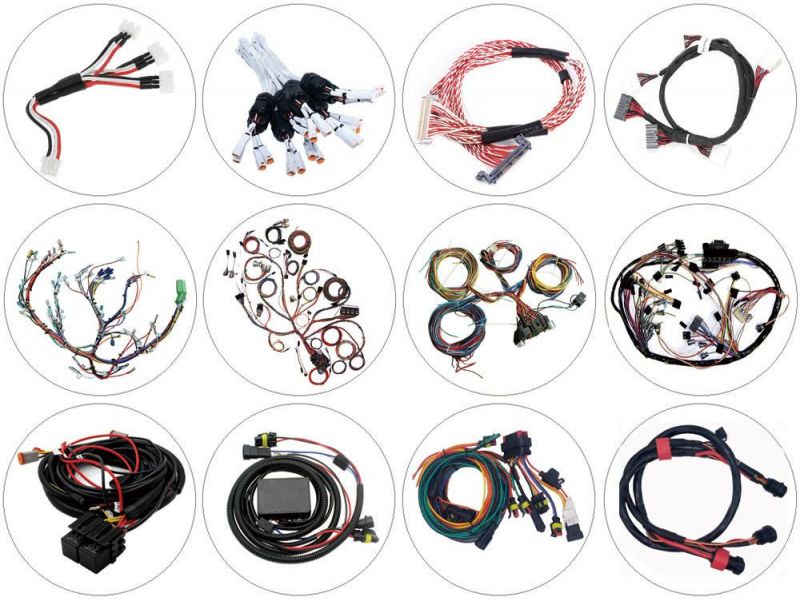 Professional OEM IATF16949 Electrical Wire Harness Equipment Domain Control Wire Harness for Automobile